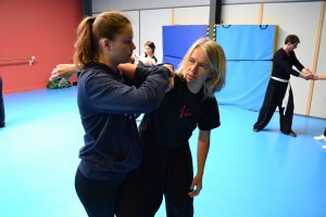 hunggarnancy-artsmartiaux-wushu-kungfu-ericbourbonnais-18juin2016-35    